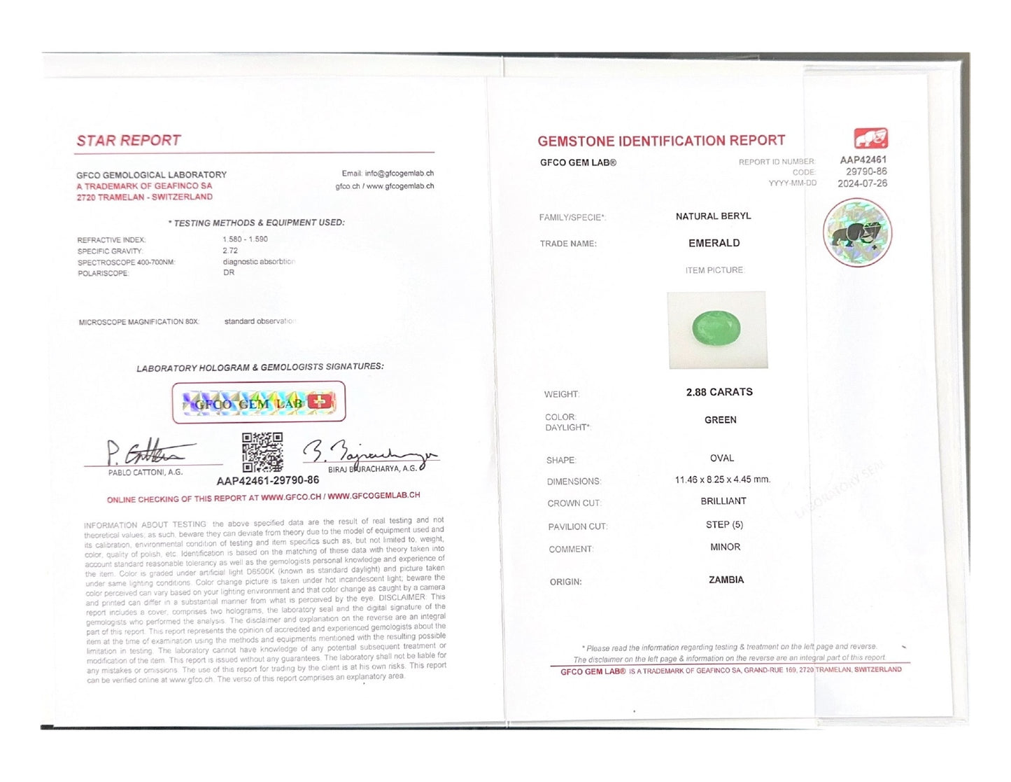 Emerald (Panna Stone) - 2.88 Carat