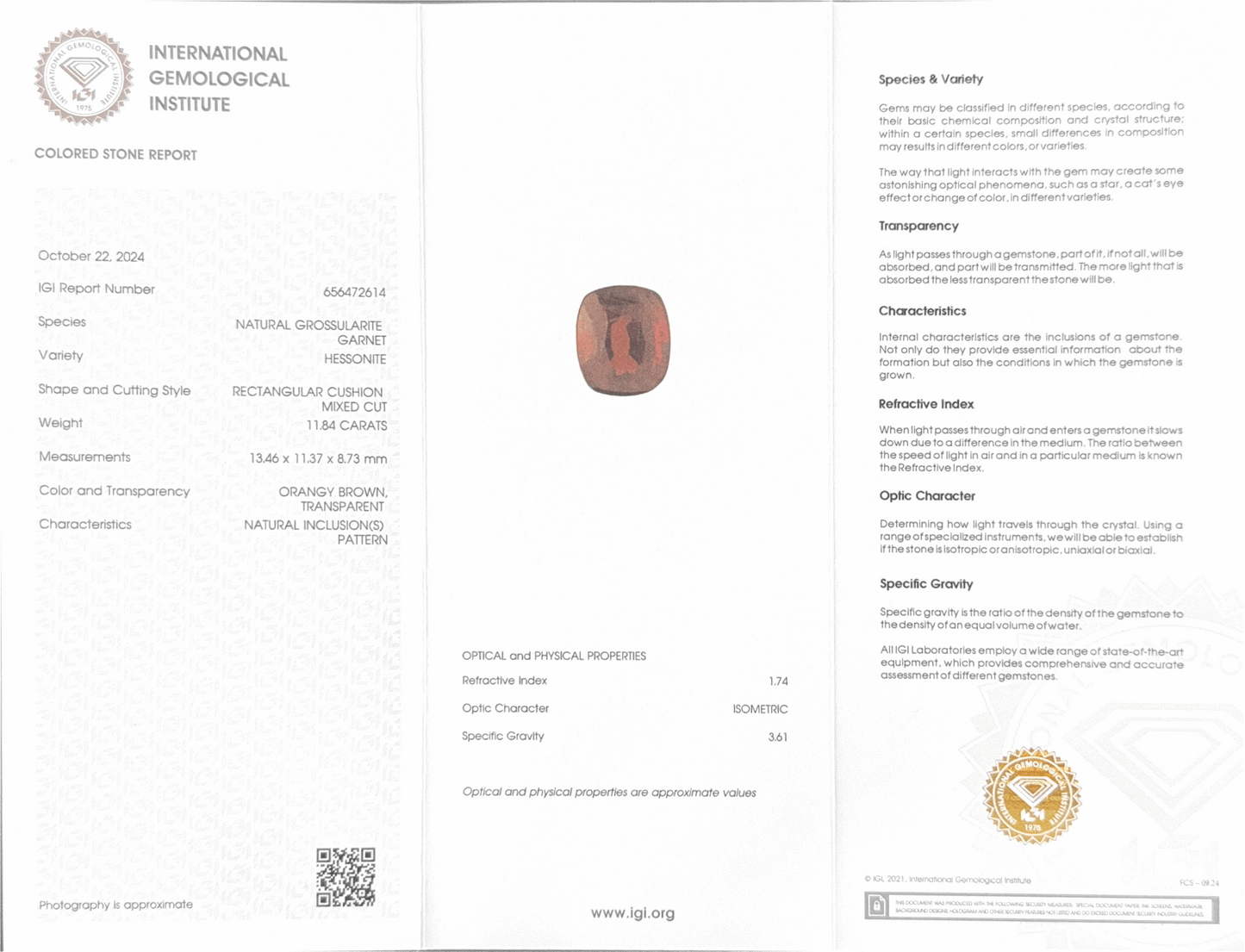 Hessonite (Gomed) - 11.84 Carat (Ceylon)