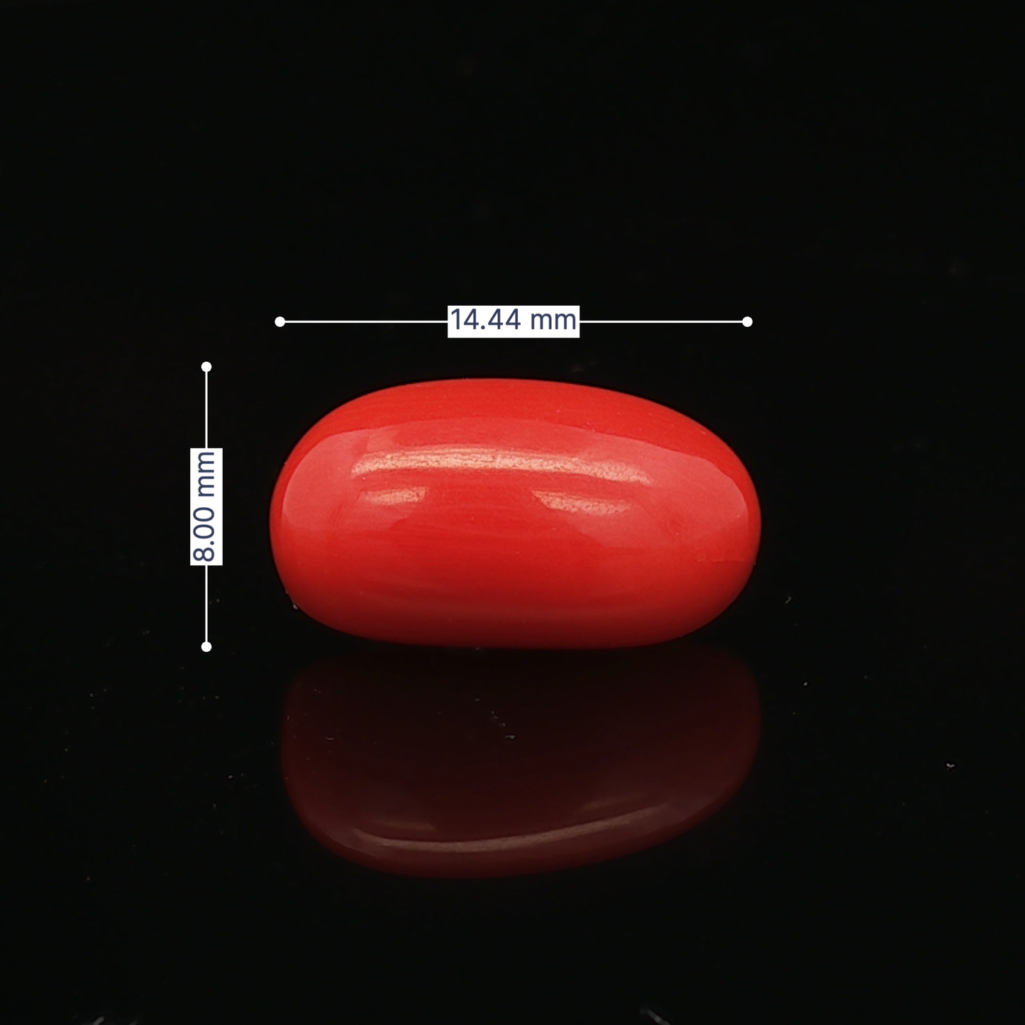 Red Coral - 6.40 Carat