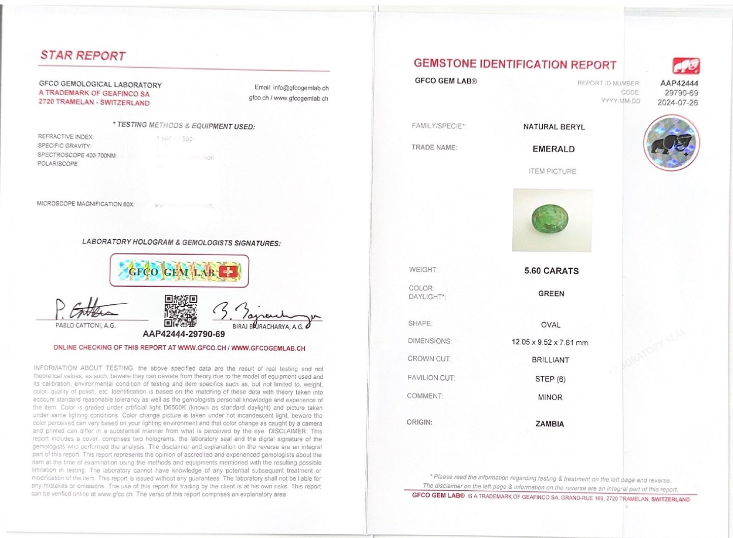 Emerald (Panna Stone) - 5.60 Carat