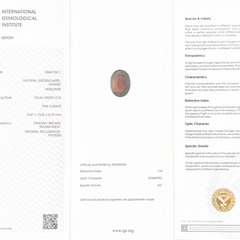 Hessonite (Gomed) - 9.96 Carat (Ceylon) (IGI Certified)