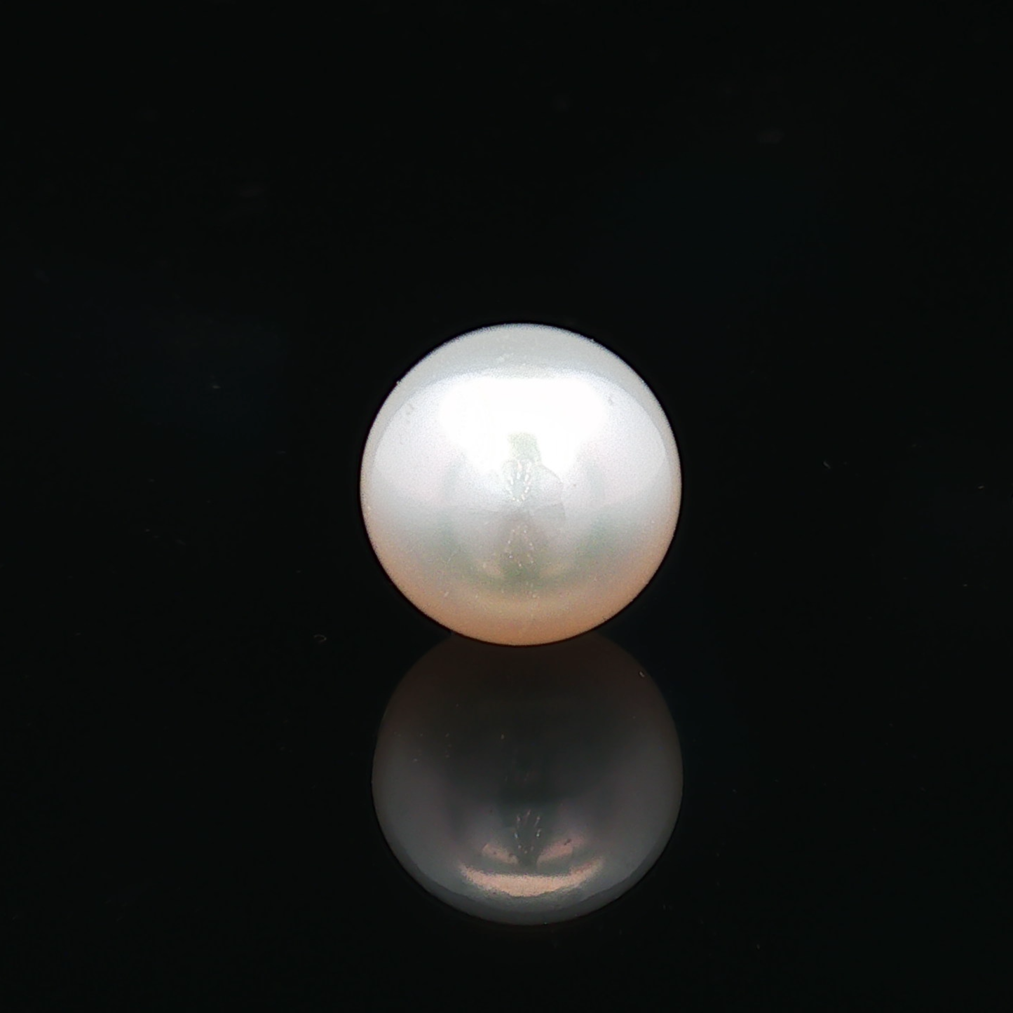 South Sea Pearl (Moti) - 6.74 Carat