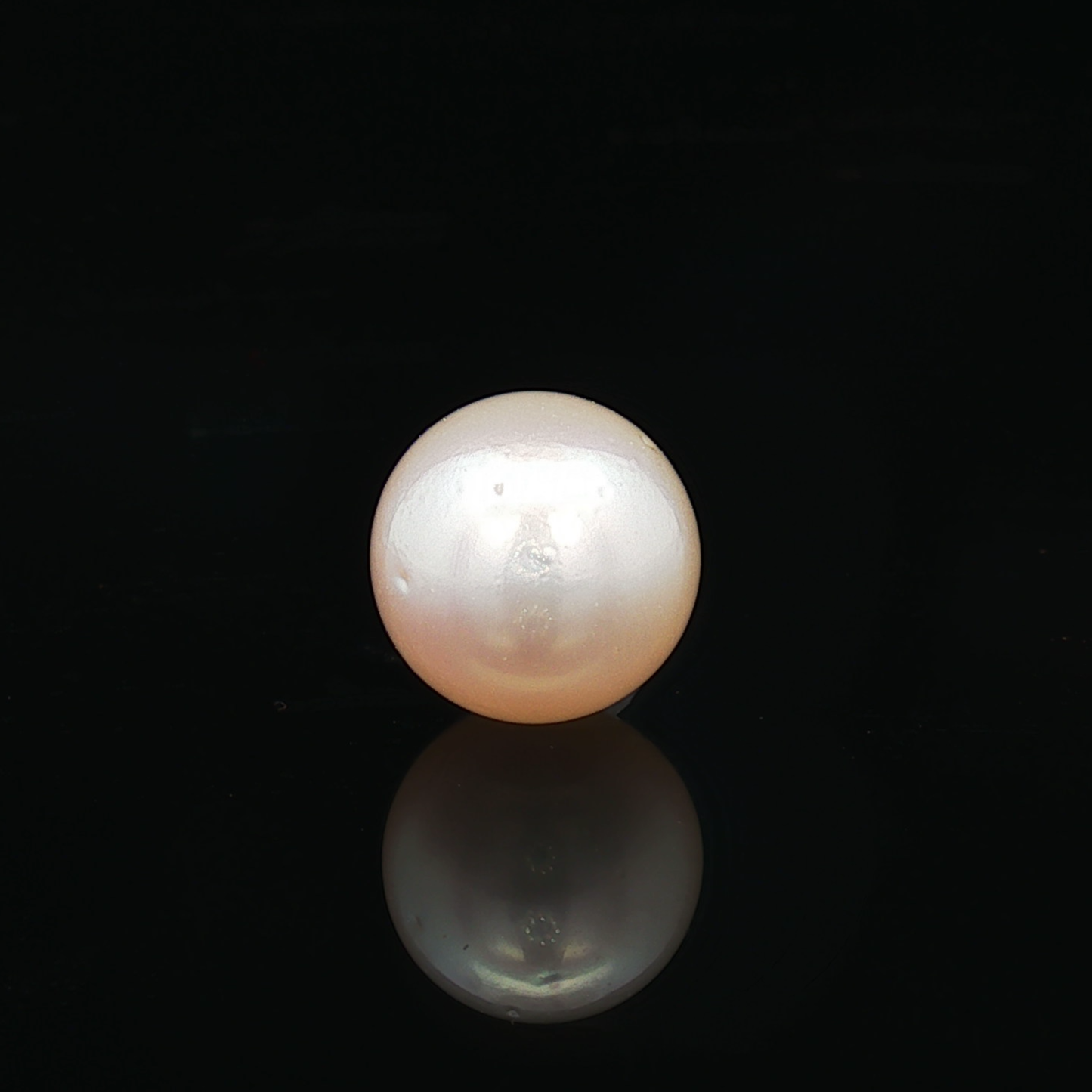South Sea Pearl (Moti) - 5.41 Carat