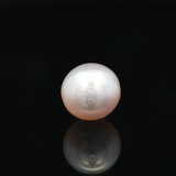 South Sea Pearl (Moti) - 7.56 Carat
