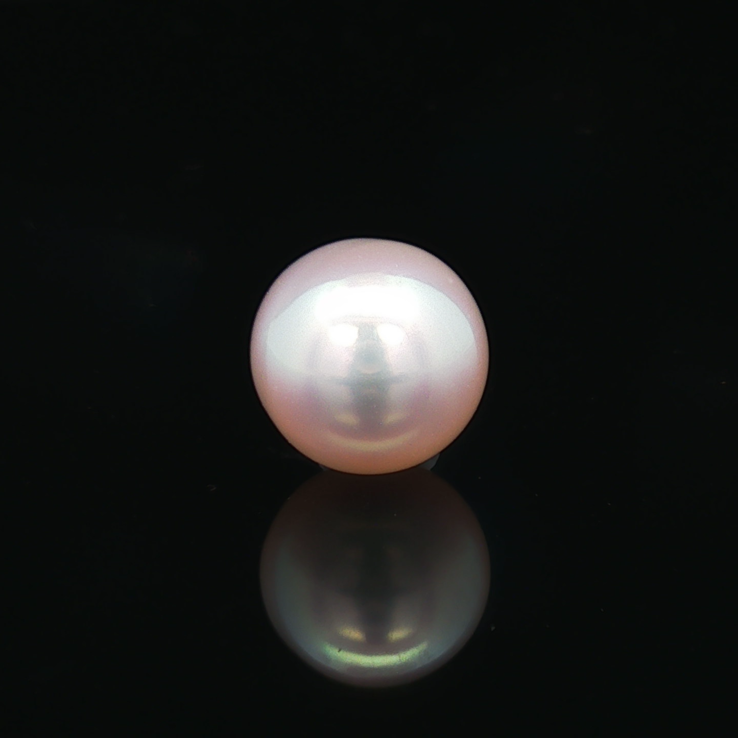 South Sea Pearl (Moti) - 6.81 Carat
