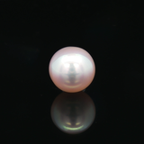 South Sea Pearl (Moti) - 6.81 Carat