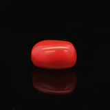 Red Coral - 5.47 Carat