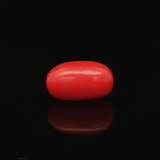 Red Coral - 4.99 Carat