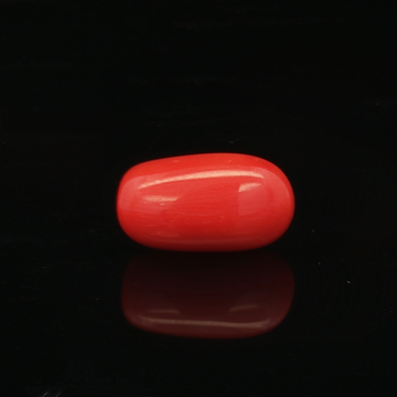 Red Coral - 5.12 Carat