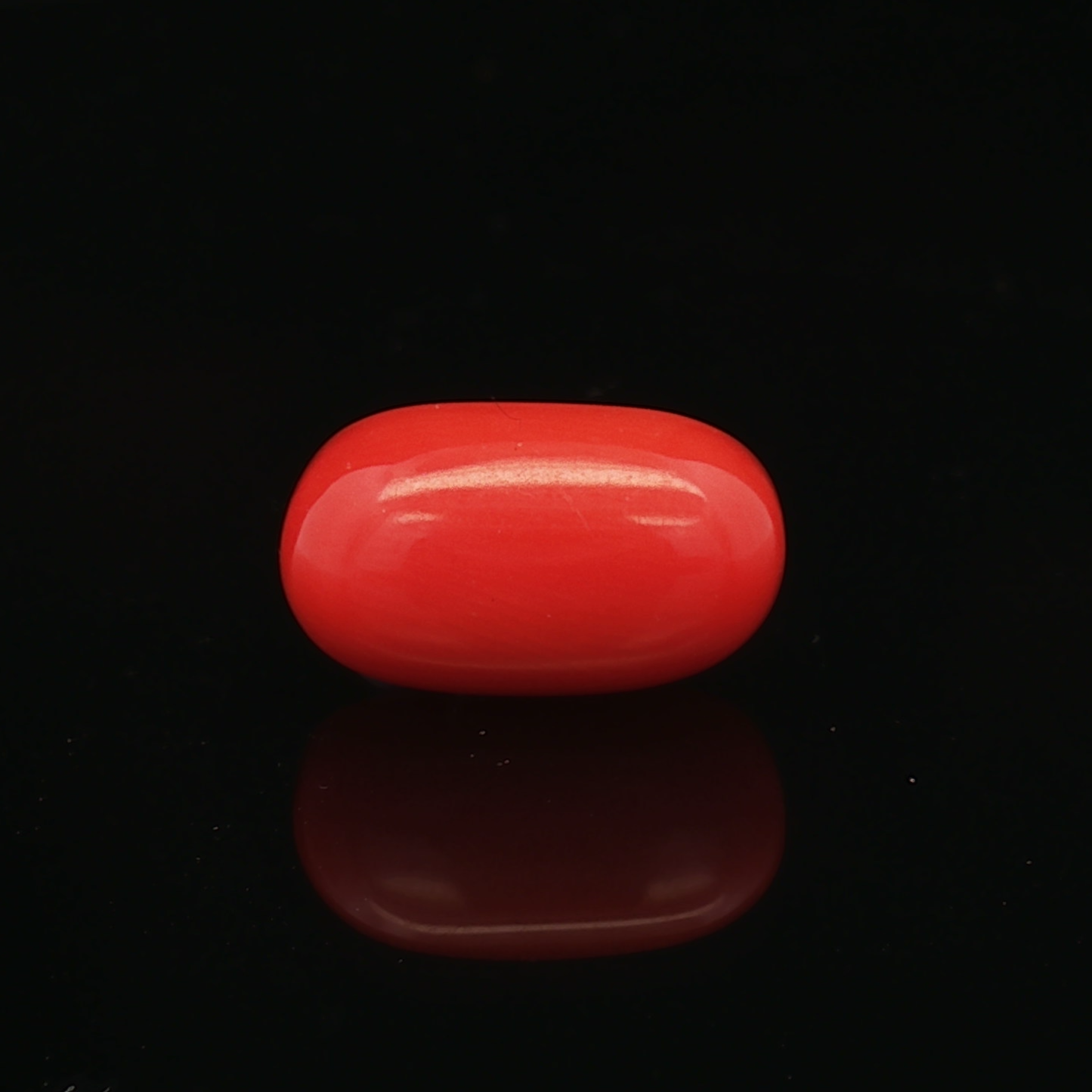 Red Coral - 6.33 Carat