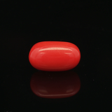 Red Coral - 6.33 Carat