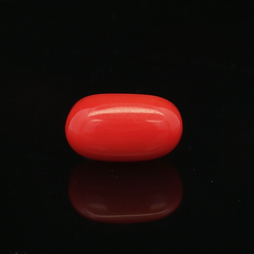 Red Coral - 6.33 Carat