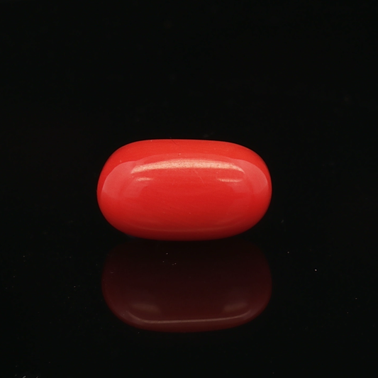 Red Coral - 6.33 Carat