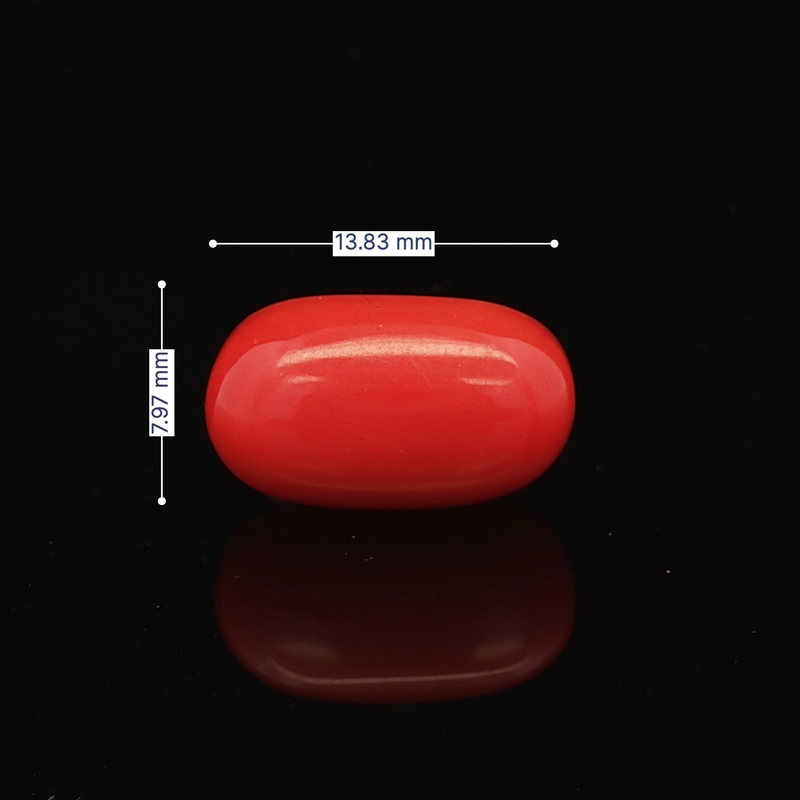 Red Coral - 6.33 Carat