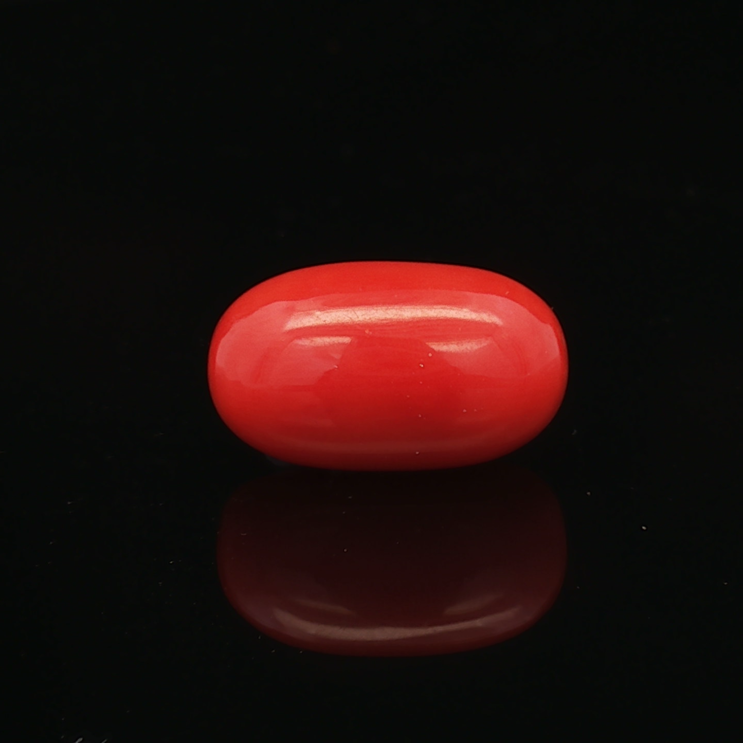 Red Coral - 7.20 Carat