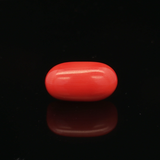 Red Coral - 5.97 Carat