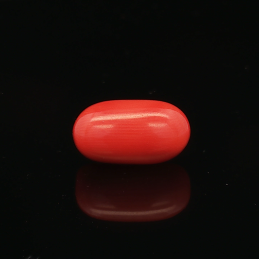 Red Coral - 5.97 Carat
