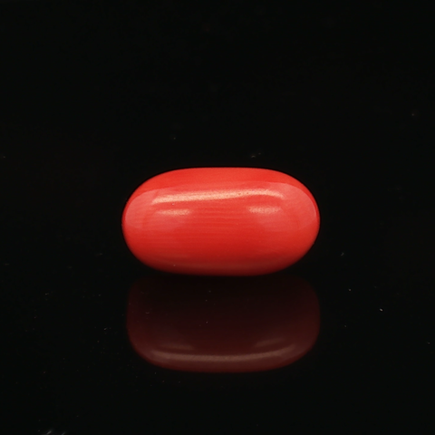 Red Coral - 5.97 Carat