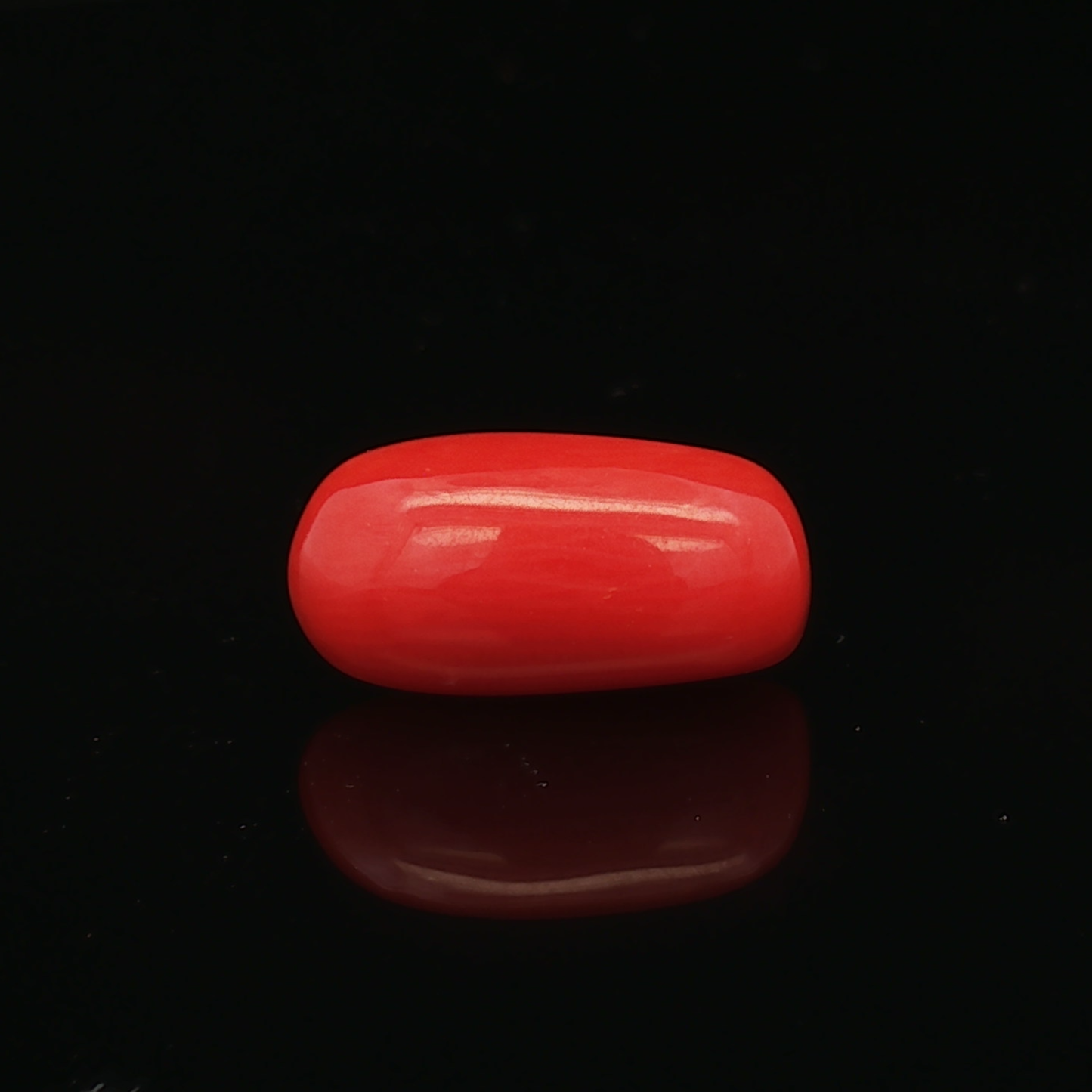 Red Coral -5.22 Carat