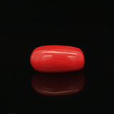 Red Coral -5.22 Carat