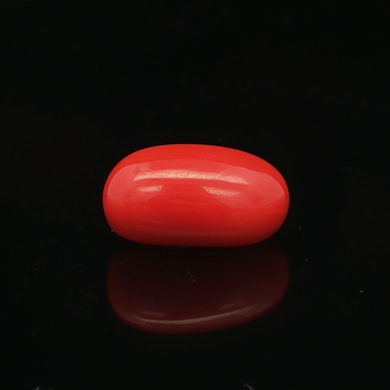 Red Coral - 6.40 Carat