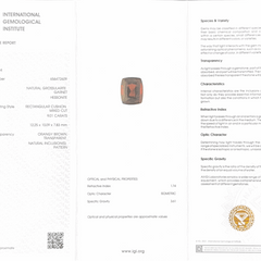 Hessonite (Gomed) - 9.01 Carat (Ceylon)