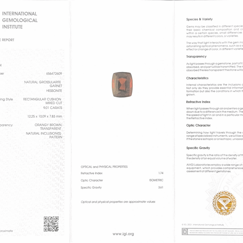 Hessonite (Gomed) - 9.01 Carat (Ceylon)